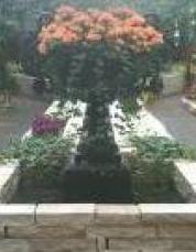 IMG00052-20100218-1217.jpg
