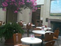 IMG00055-20100218-1334.jpg